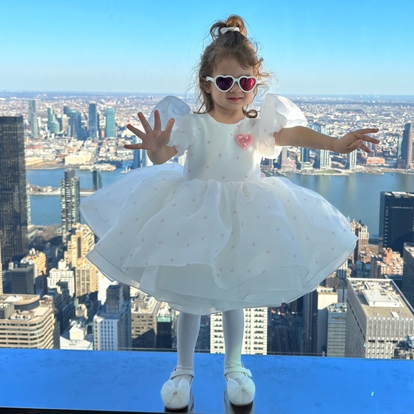 Toddlers Dress for Birthday Party or any other party - Picture 9 of 11